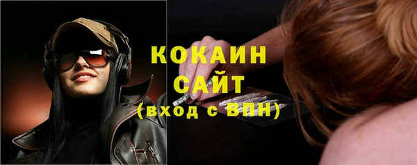 крисы Сатка